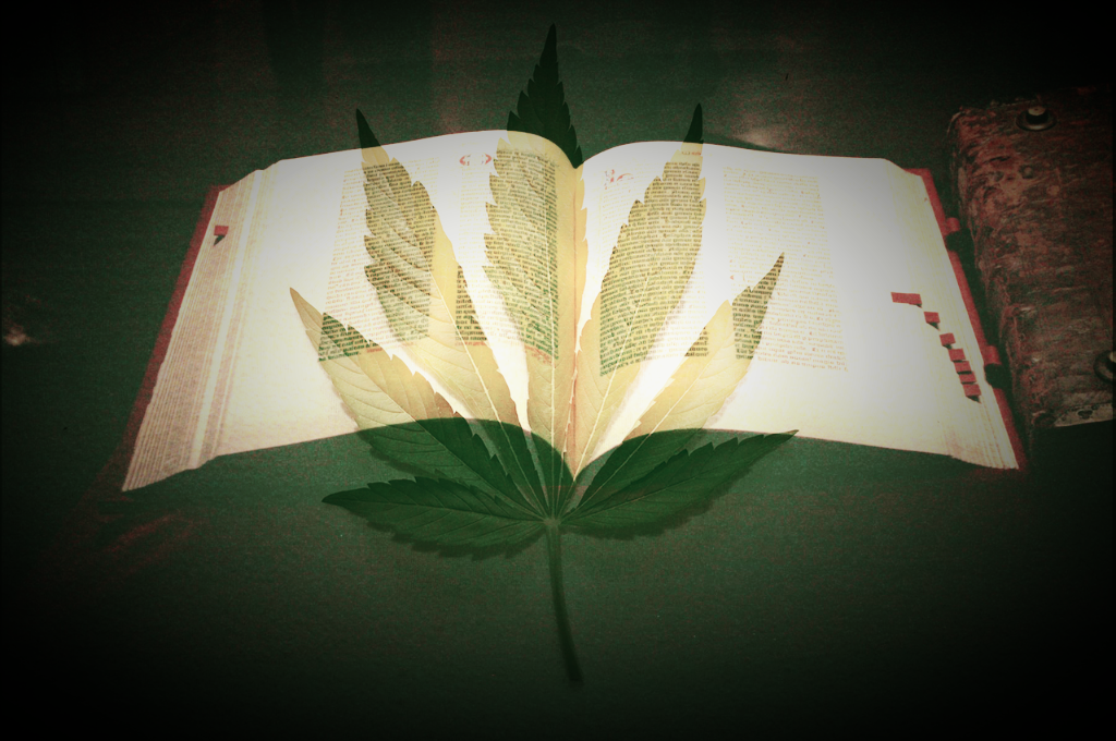 A leaf is transposed over an open Bible.